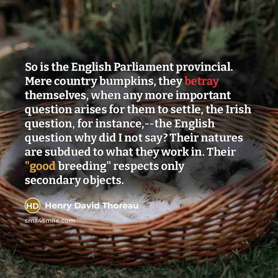 “So is the English Parliament provincial. Mere country bumpkins, they…” quote by Henry David Thoreau