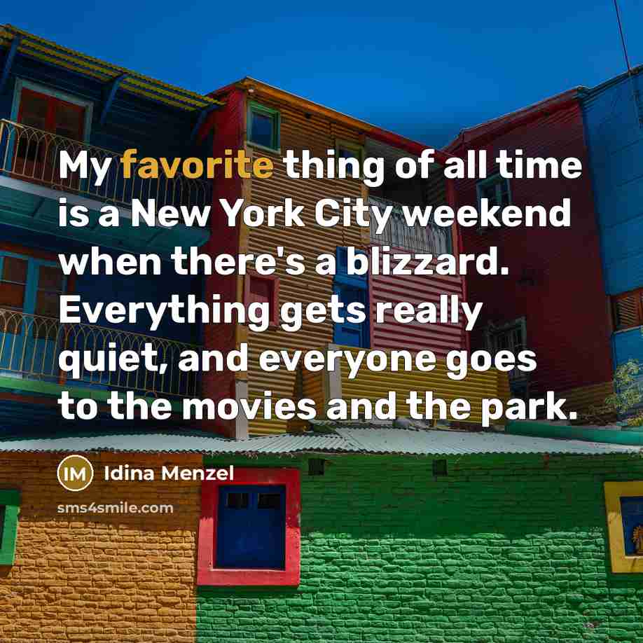 “My favorite thing of all time is a New York…” quote by Idina Menzel