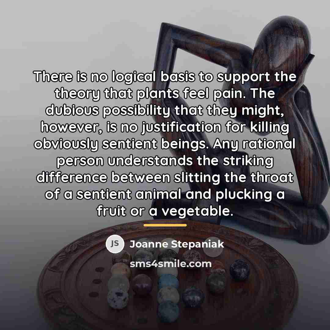 “There is no logical basis to support the theory that…” quote by Joanne Stepaniak