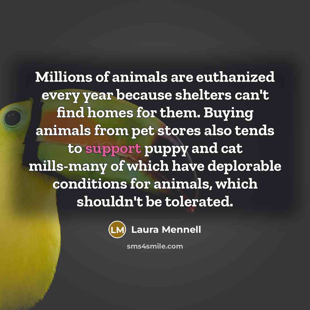 “Millions of animals are euthanized every year because shelters can't…” quote by Laura Mennell
