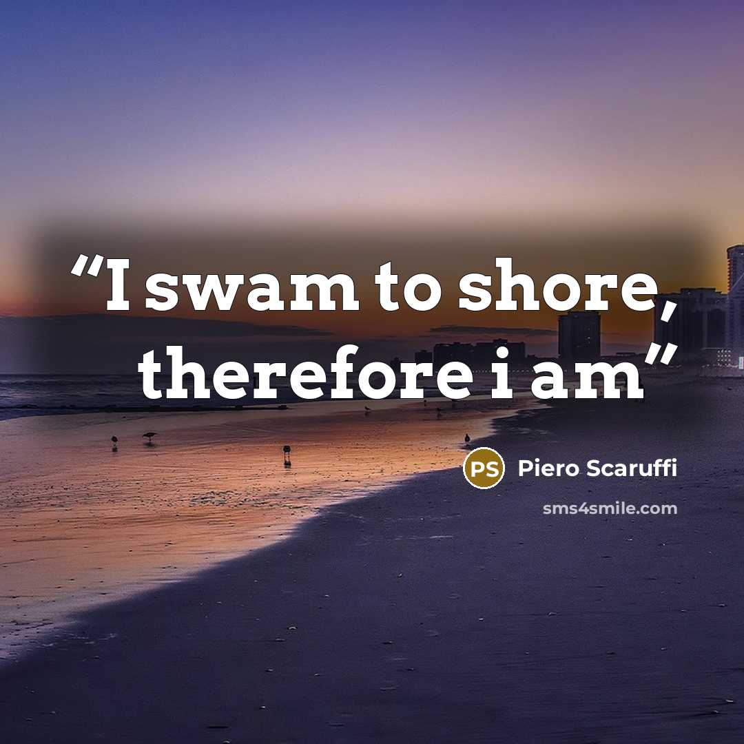 “I swam to shore, therefore i am” quote by Piero Scaruffi