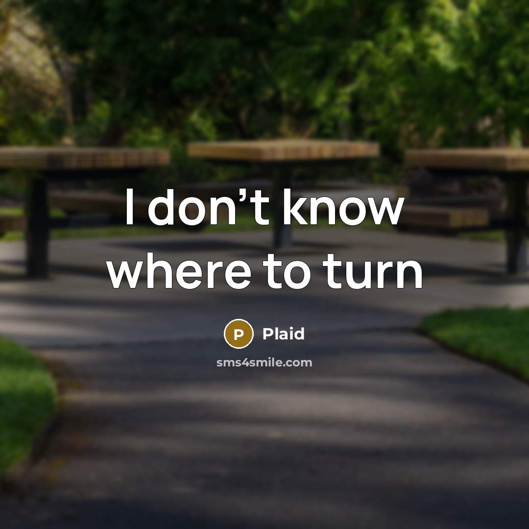 “I don't know where to turn…” quote by Plaid