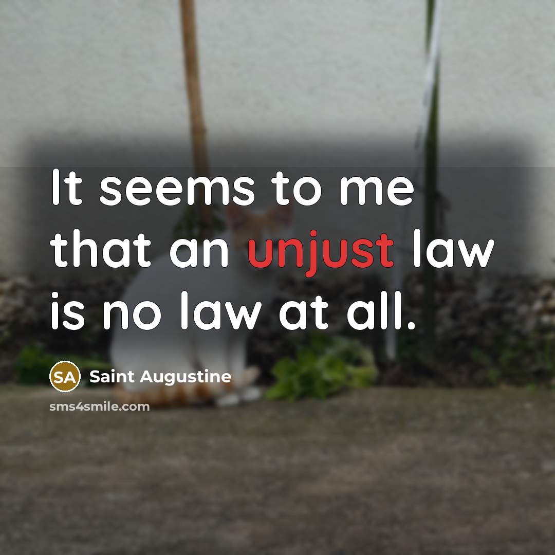 “It seems to me that an unjust law is no…” quote by Saint Augustine