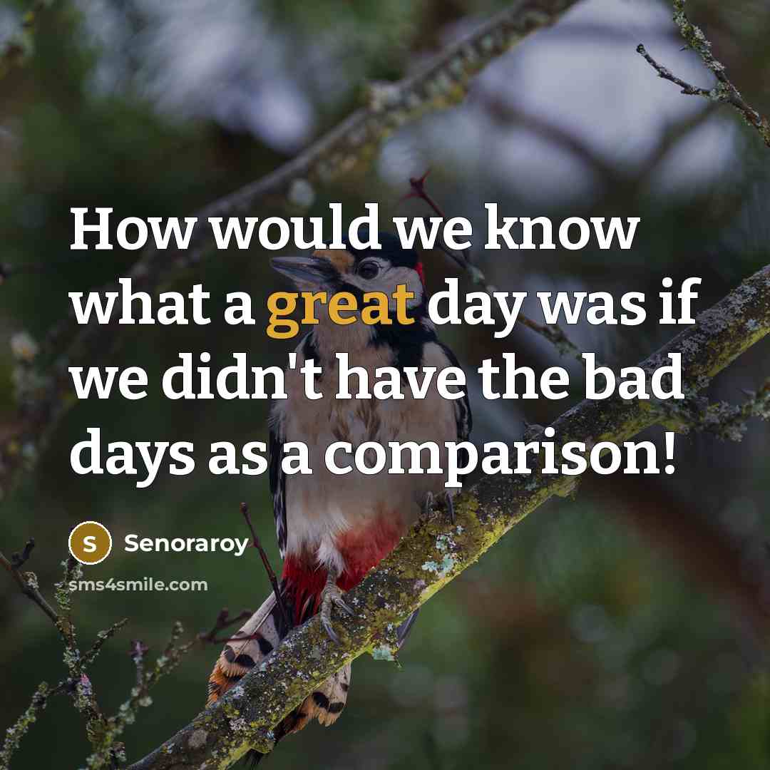 “How would we know what a great day was if…” quote by Senoraroy