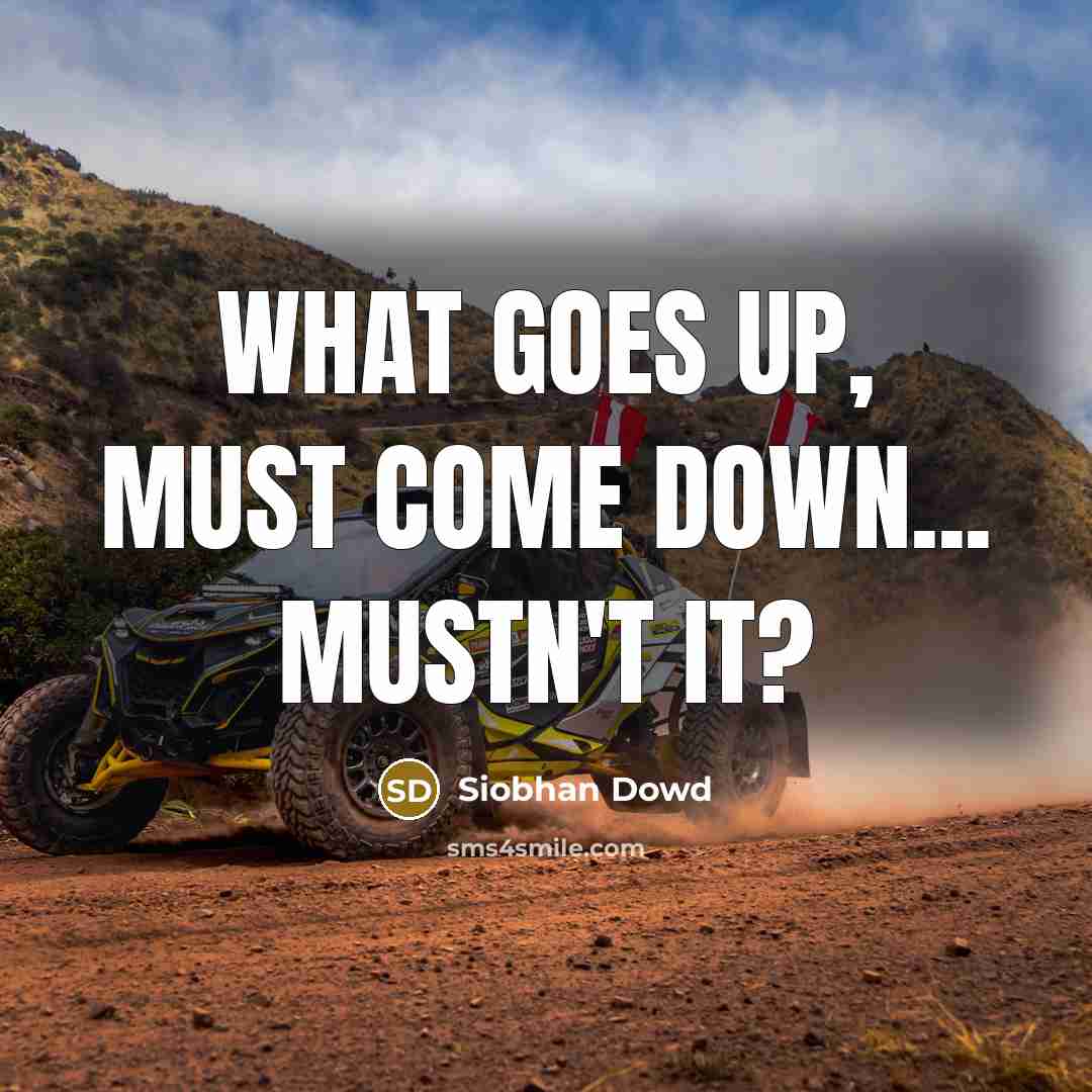 “What goes up, must come down... Mustn't it?” quote by Siobhan Dowd