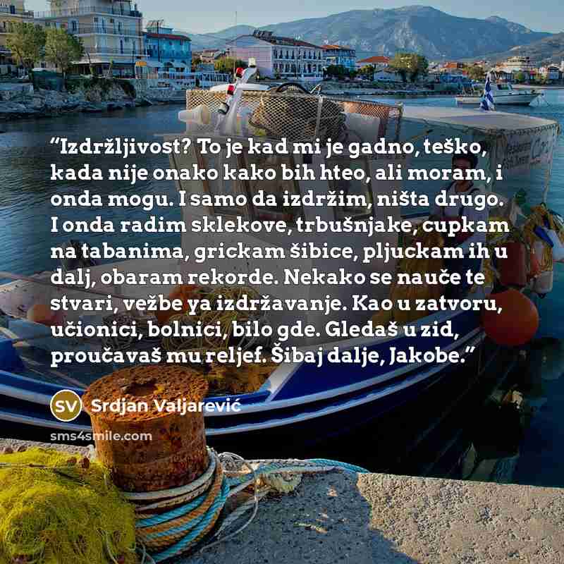“Izdržljivost? To je kad mi je gadno, teško, kada nije onako kako bih hteo, ali moram, i onda mogu. I samo da izdržim, ništa drugo. I onda radim sklekove, trbušnjake, cupkam na tabanima, grickam šibice, pljuckam ih u dalj, obaram rekorde. Nekako se nauče te stvari, vežbe ya izdržavanje. Kao u…” quote by Srdjan Valjarević