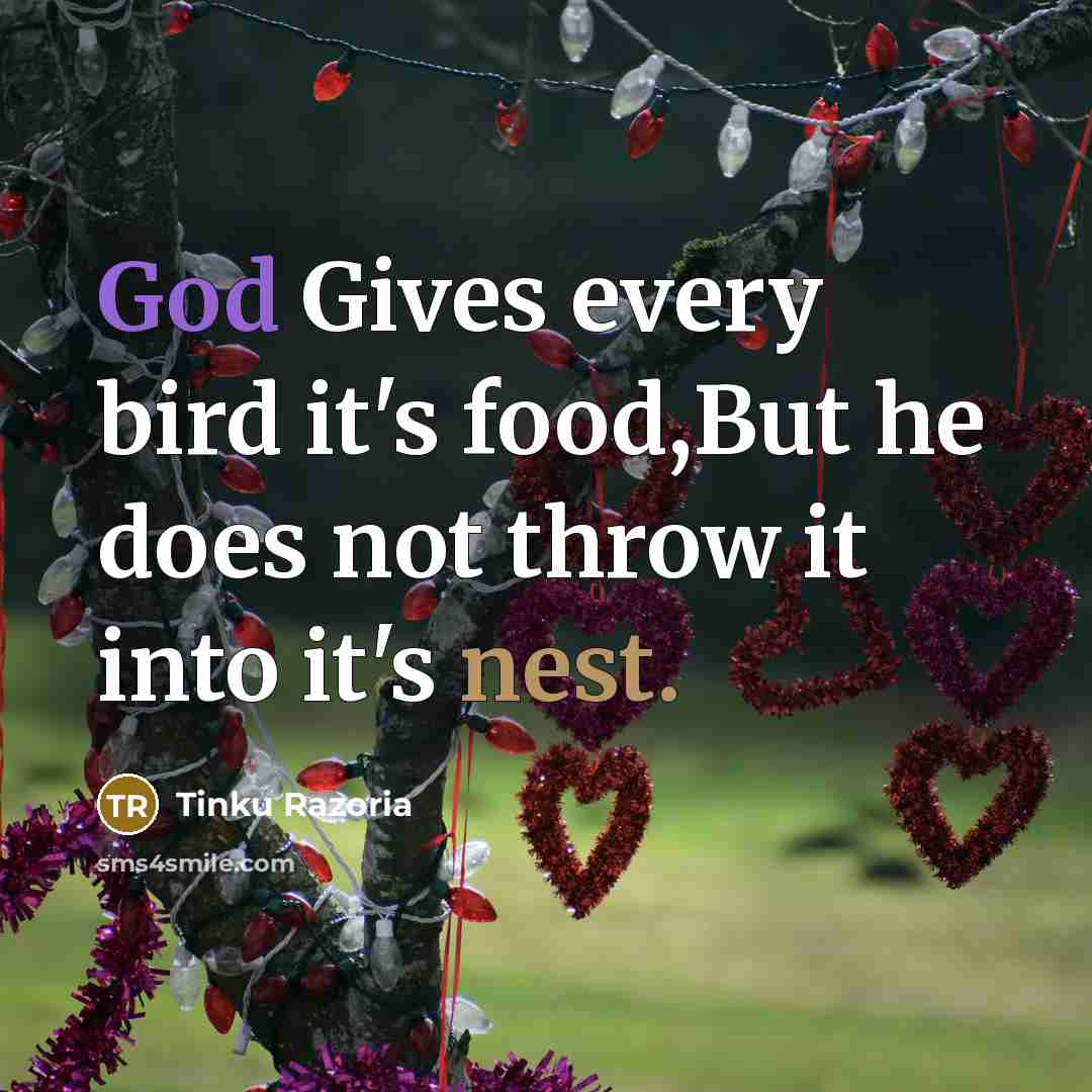 “God Gives every bird it's food,But he does not throw it into it's nest.” quote by Tinku Razoria