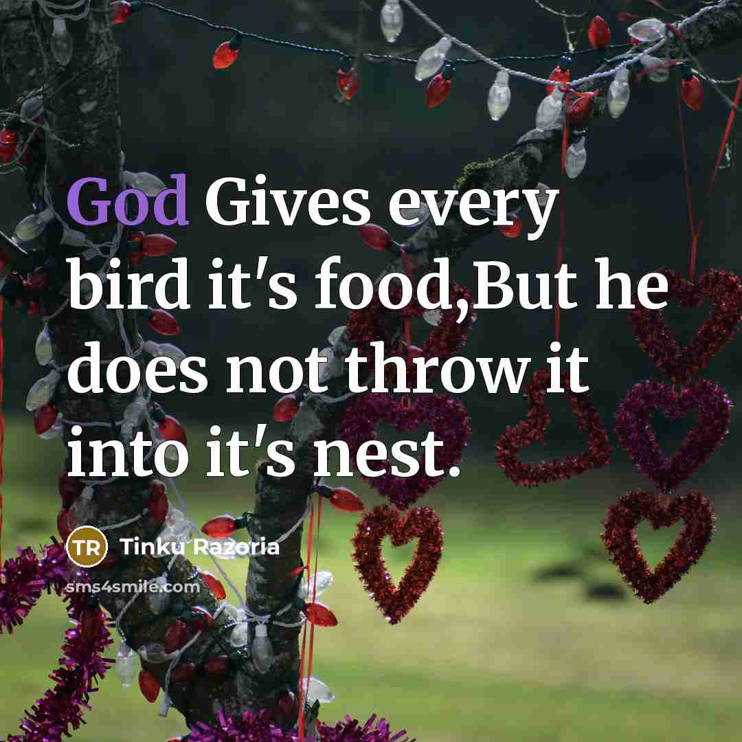 “God Gives every bird it's food,But he does not throw…” quote by Tinku Razoria