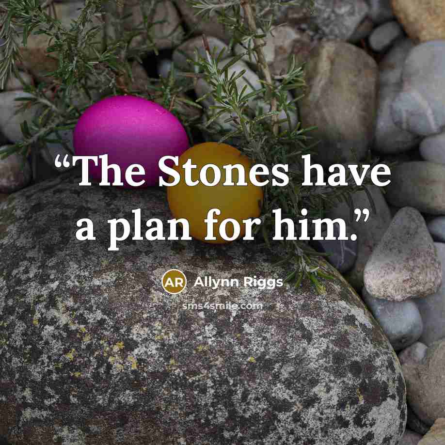 “The Stones have a plan for him.” quote by Allynn Riggs