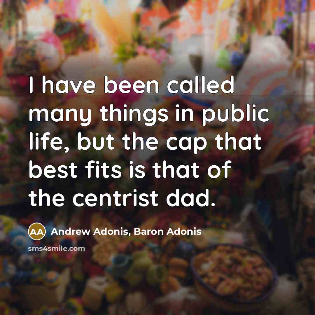 “I have been called many things in public life, but…” quote by Andrew Adonis, Baron Adonis