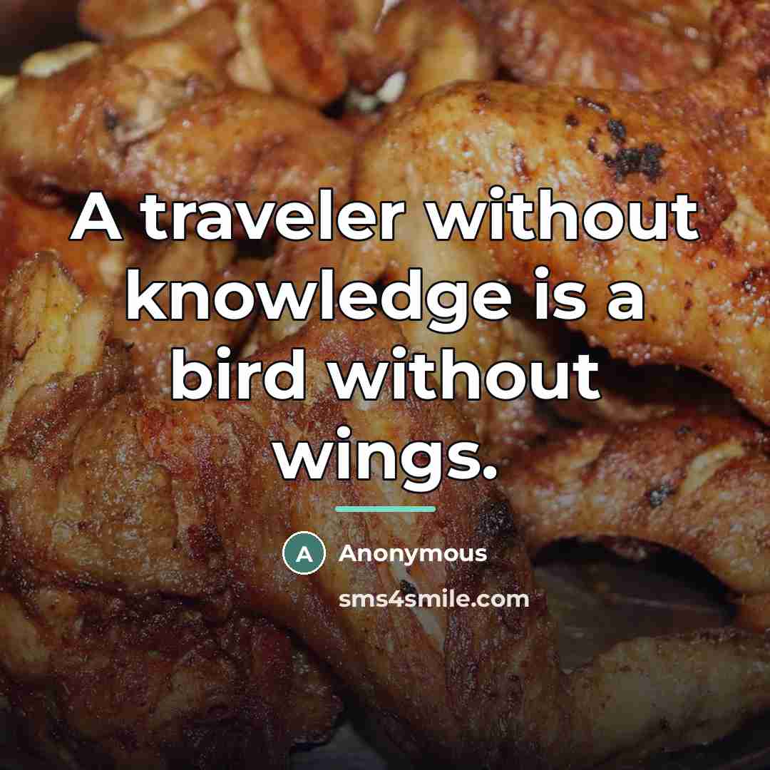 “A traveler without knowledge is a bird without wings.…” quote by Anonymous