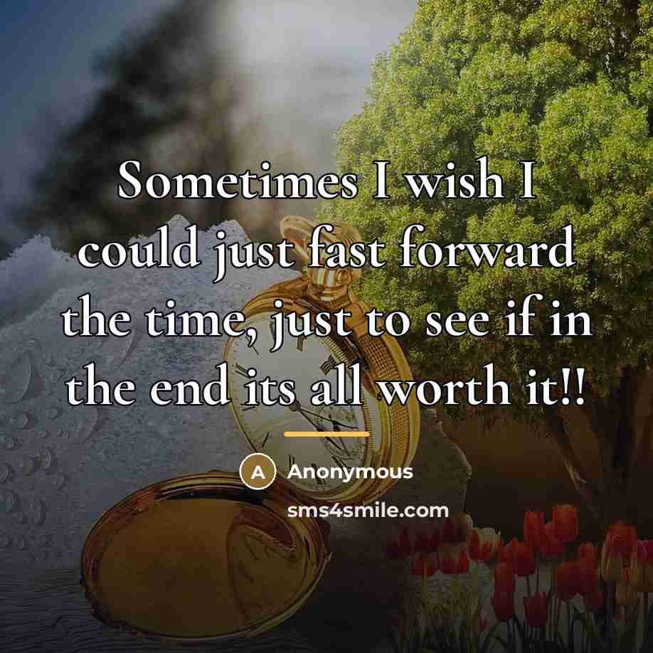 “Sometimes I wish I could just fast forward the time,…” quote by Anonymous