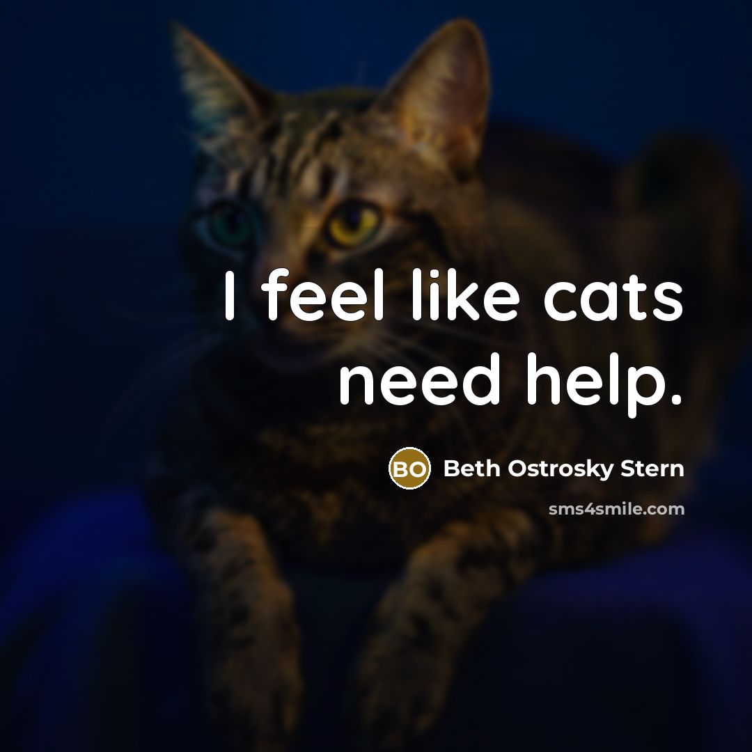 “I feel like cats need help.…” quote by Beth Ostrosky Stern