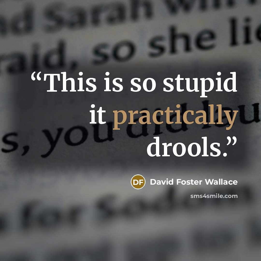 “This is so stupid it practically drools.” quote by David Foster Wallace