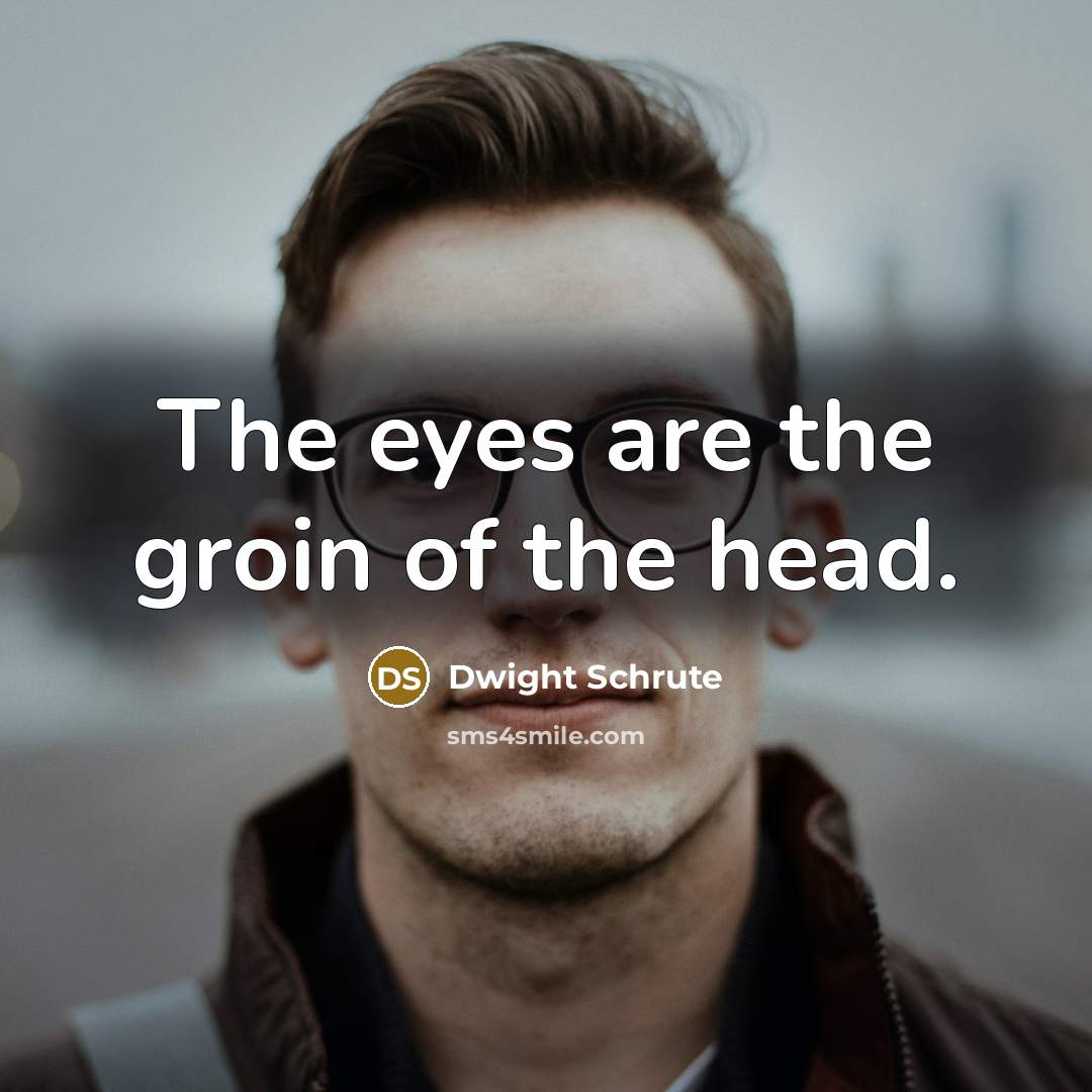 “The eyes are the groin of the head.…” quote by Dwight Schrute