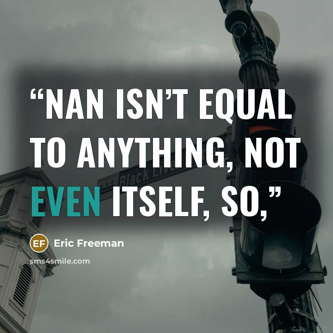 “NaN isn’t equal to anything, not even itself, so,” quote by Eric Freeman