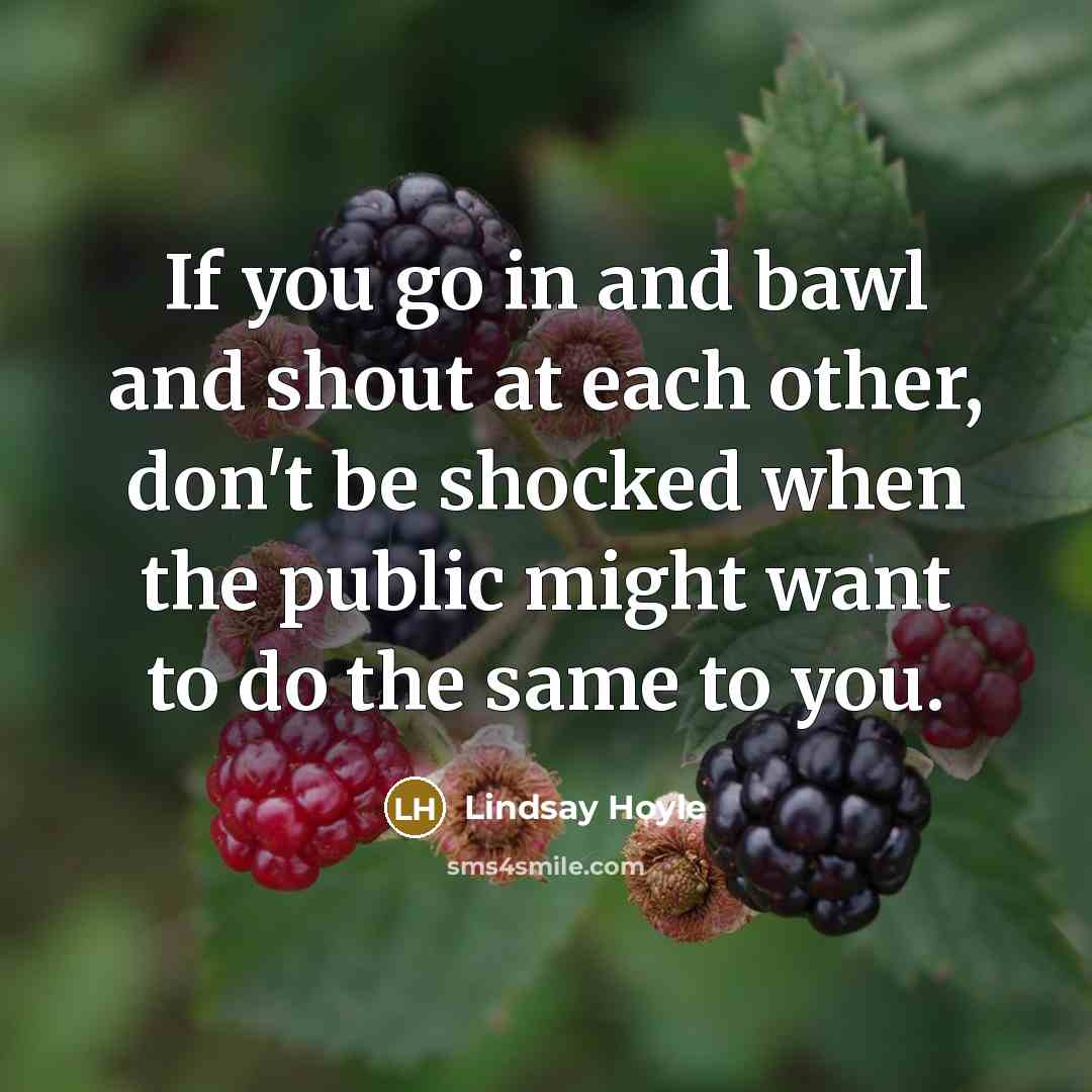 “If you go in and bawl and shout at each…” quote by Lindsay Hoyle