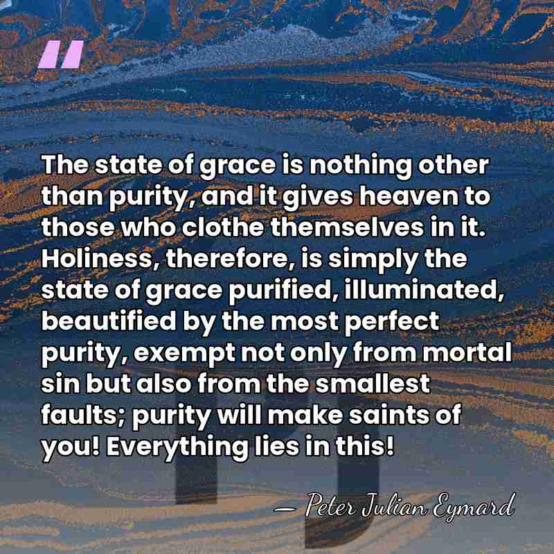 The state of grace is nothing other than purity, and it gives&hellip; - Peter Julian Eymard