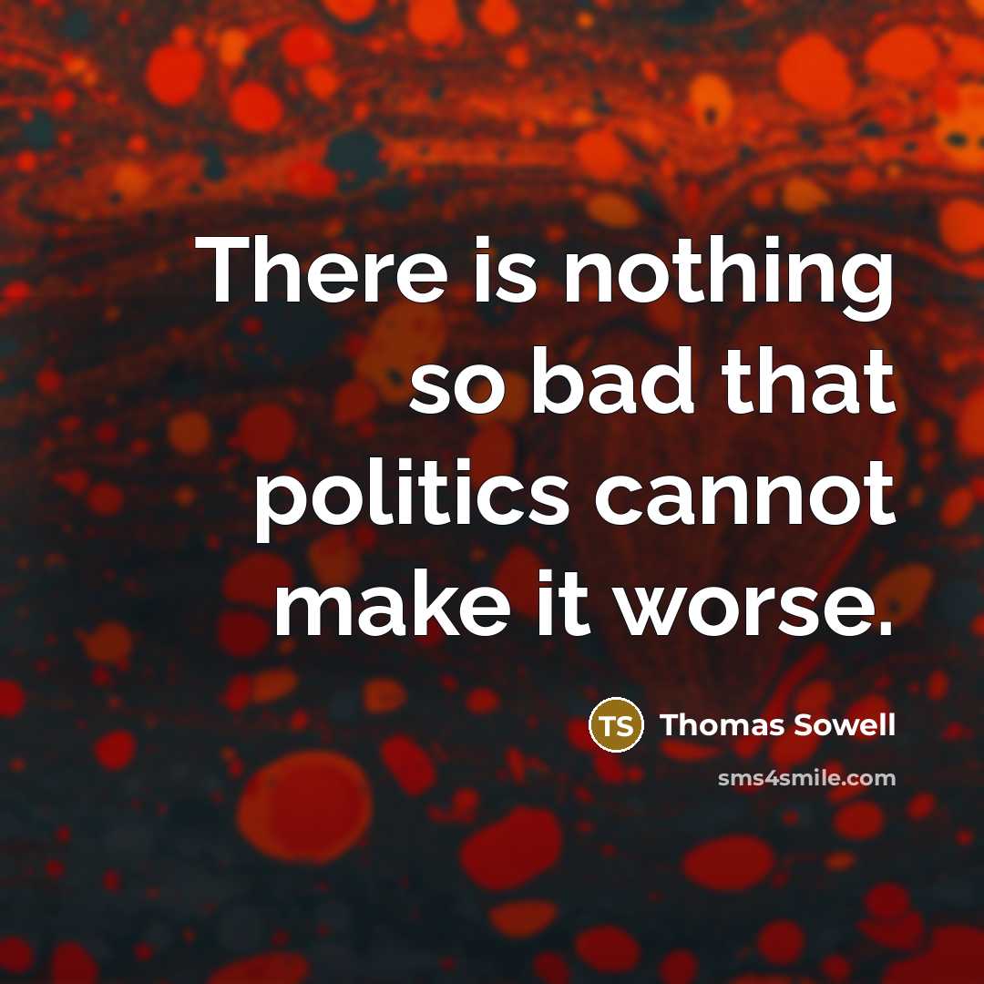 “There is nothing so bad that politics cannot make it…” quote by Thomas Sowell