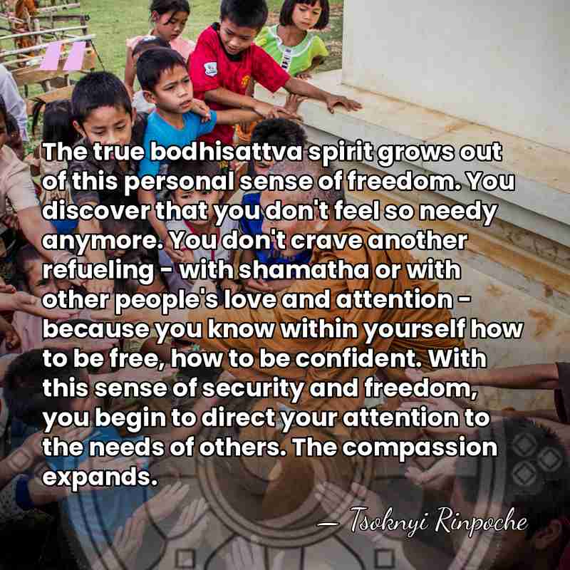 The true bodhisattva spirit grows out of this personal sense of freedom.&hellip; - Tsoknyi Rinpoche