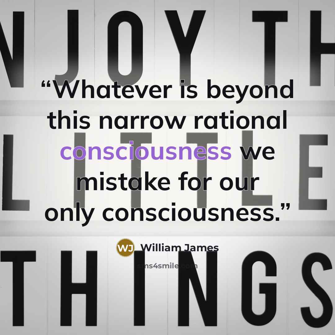“Whatever is beyond this narrow rational consciousness we mistake for our only consciousness.” quote by William James