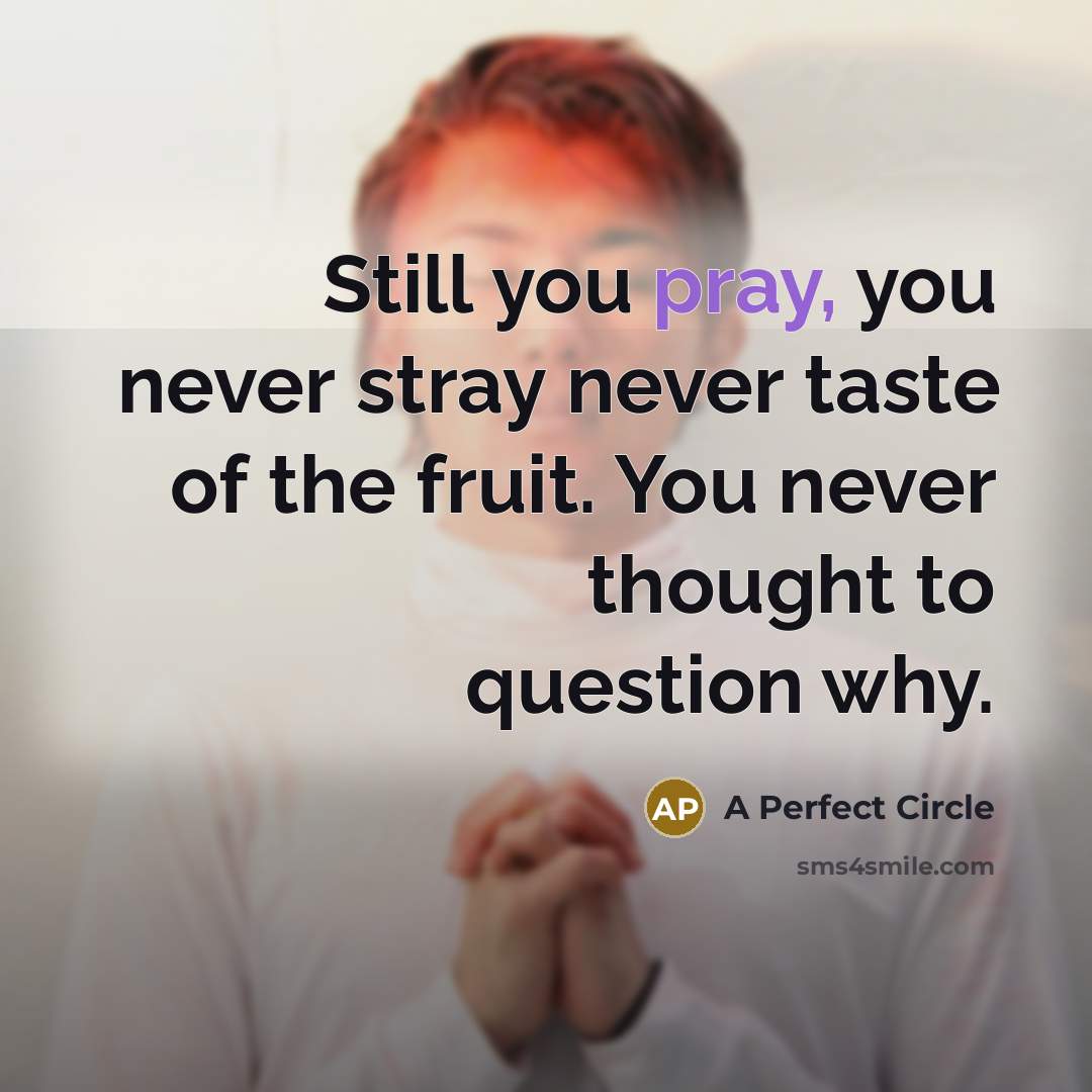 “Still you pray, you never stray never taste of the…” quote by A Perfect Circle
