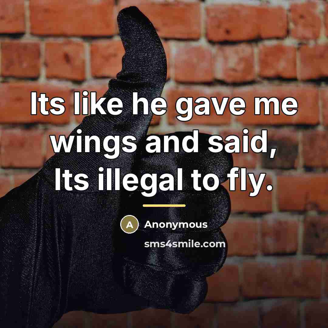 “Its like he gave me wings and said, Its illegal…” quote by Anonymous