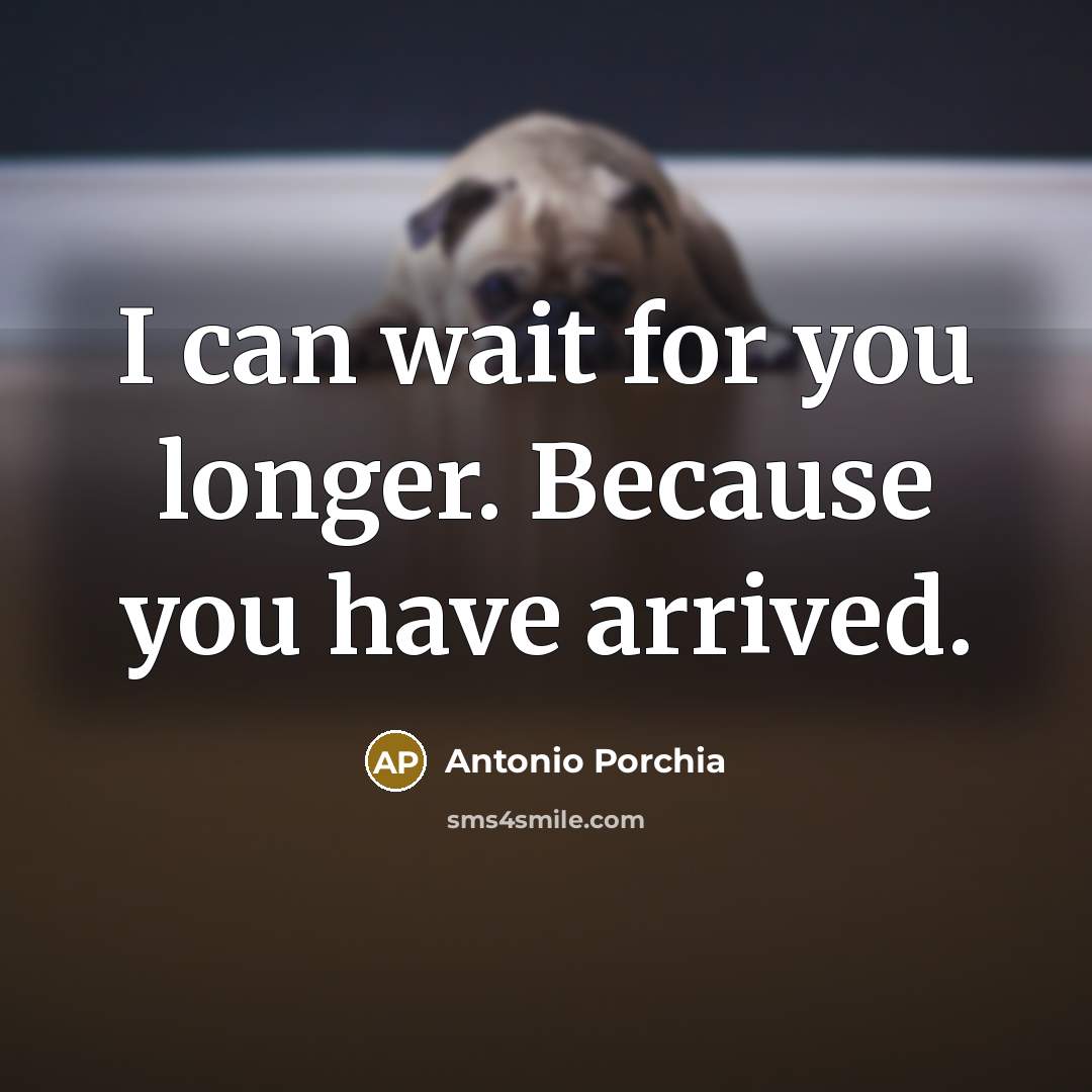 “I can wait for you longer. Because you have arrived.…” quote by Antonio Porchia