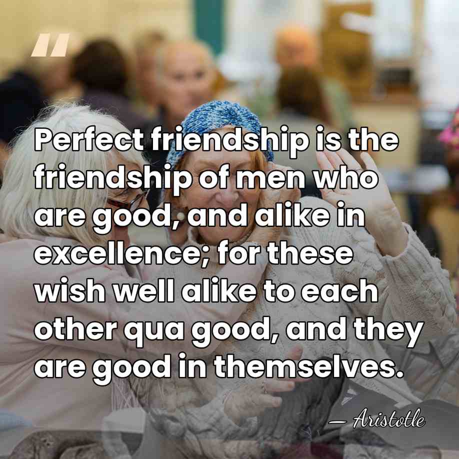 Perfect friendship is the friendship of men who are good, and alike&hellip; - Aristotle