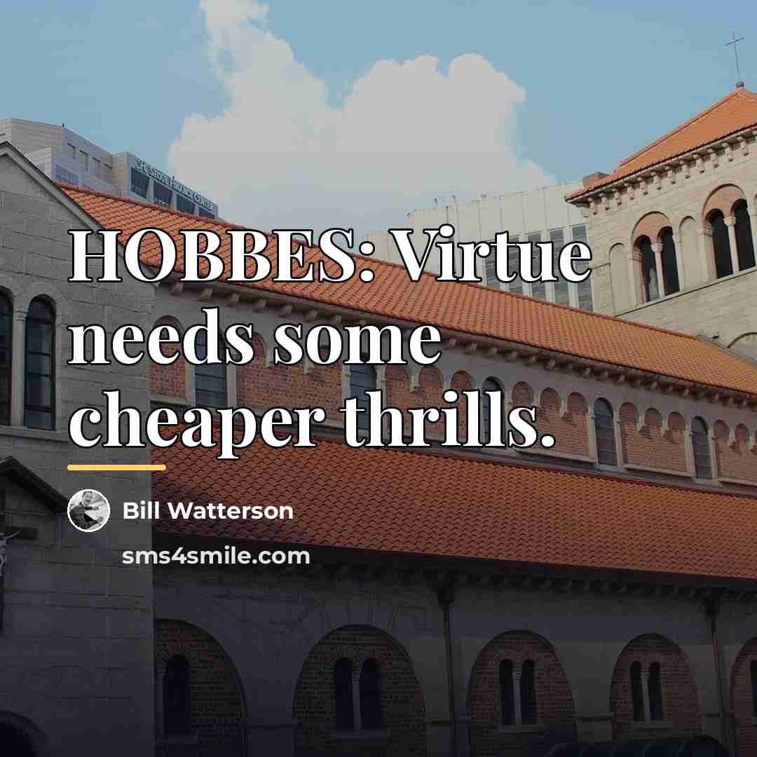 “HOBBES: Virtue needs some cheaper thrills.…” quote by Bill Watterson