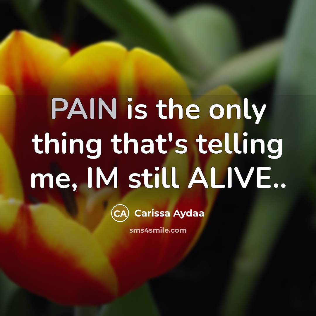“PAIN is the only thing that's telling me, IM still ALIVE..” quote by Carissa Aydaa