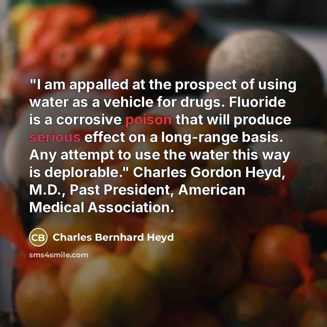 “"I am appalled at the prospect of using water as…” quote by Charles Bernhard Heyd