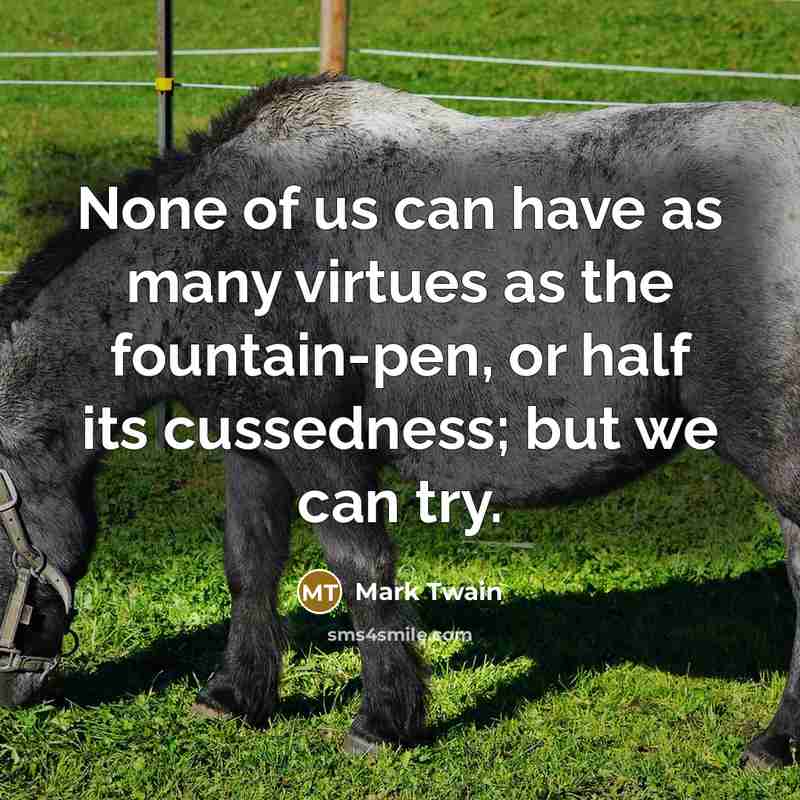 “None of us can have as many virtues as the…” quote by Mark Twain