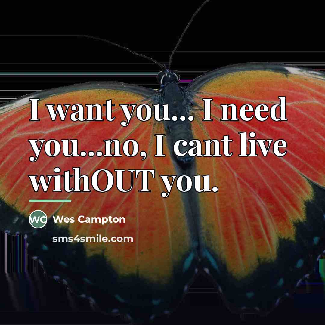 “I want you... I need you...no, I cant live withOUT…” quote by Wes Campton