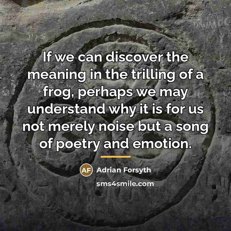 “If we can discover the meaning in the trilling of…” quote by Adrian Forsyth