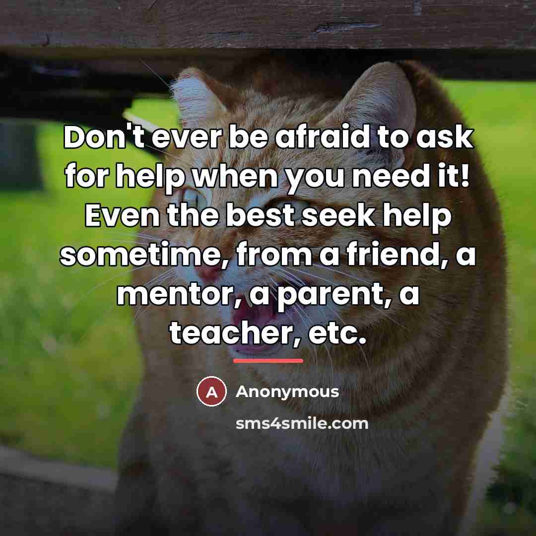 “Don't ever be afraid to ask for help when you…” quote by Anonymous