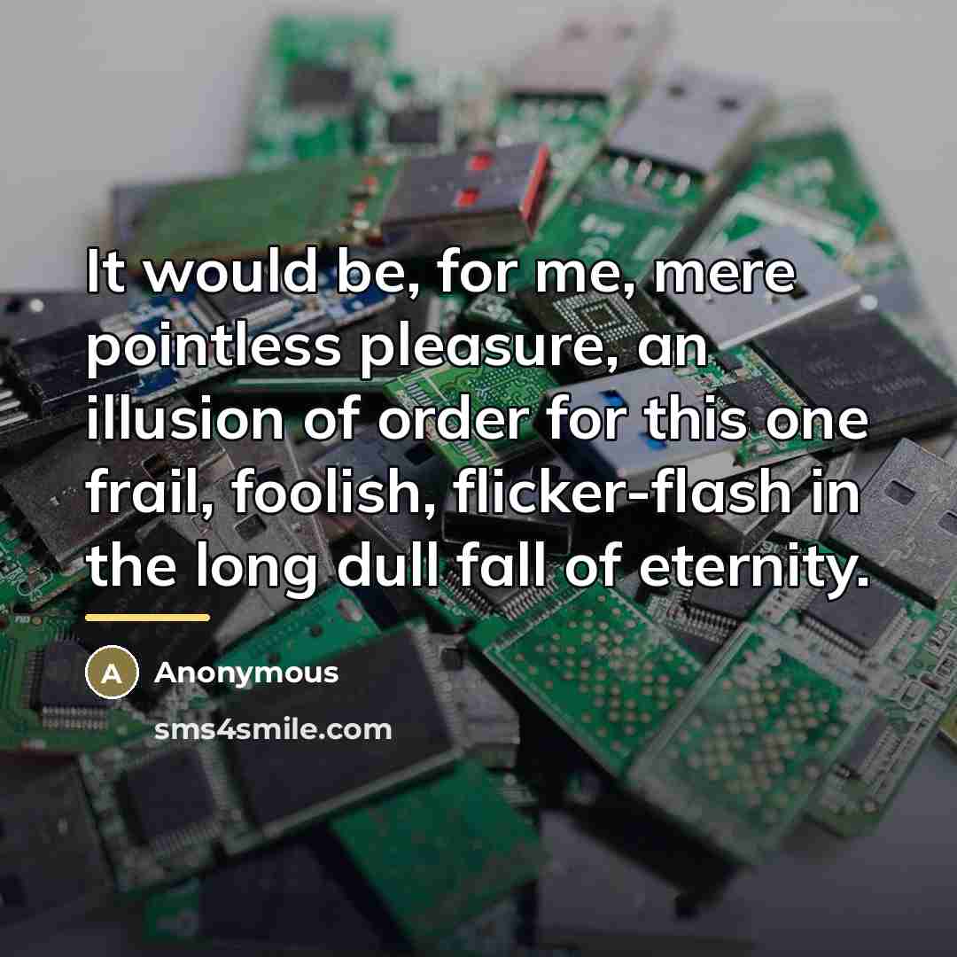 “It would be, for me, mere pointless pleasure, an illusion…” quote by Anonymous