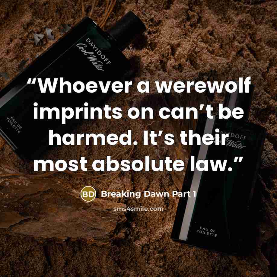 “Whoever a werewolf imprints on can’t be harmed. It’s their most absolute law.” quote by Breaking Dawn Part 1