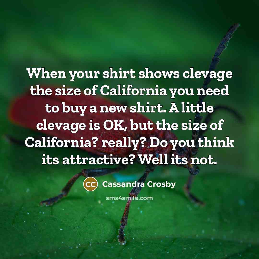 “When your shirt shows clevage the size of California you need to buy a new shirt. A little clevage is OK, but the size of California? really? Do you think its attractive? Well its not.” quote by Cassandra Crosby