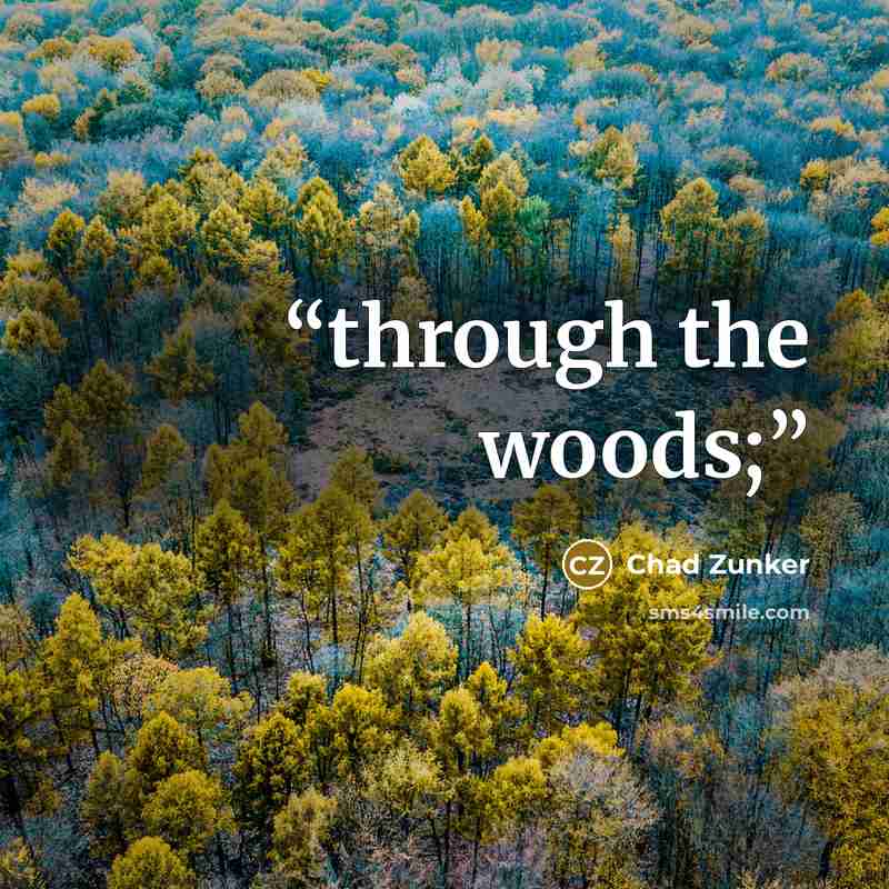 “through the woods;” quote by Chad Zunker