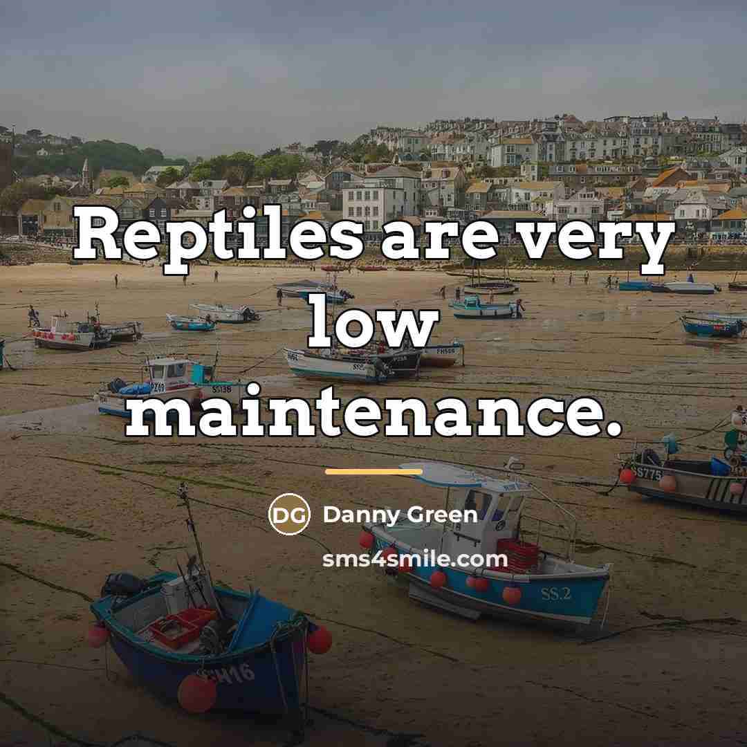 “Reptiles are very low maintenance.…” quote by Danny Green
