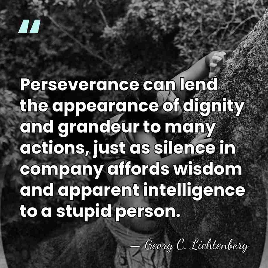 Perseverance can lend the appearance of dignity and grandeur to many actions,&hellip; - Georg C. Lichtenberg