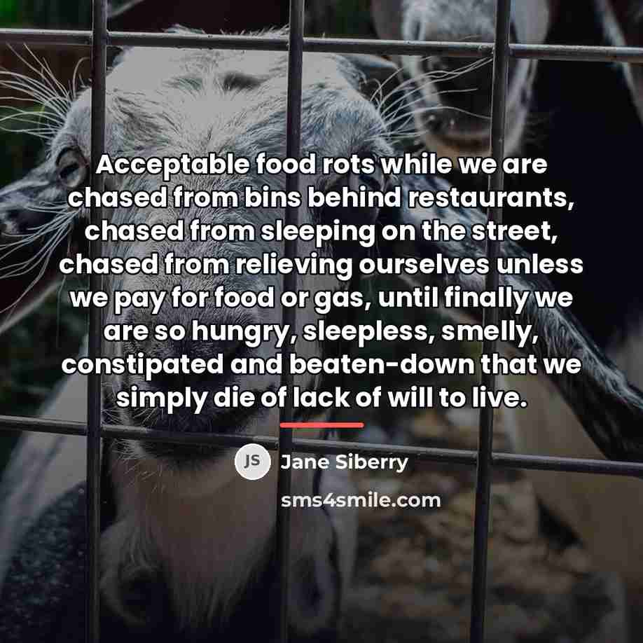 “Acceptable food rots while we are chased from bins behind…” quote by Jane Siberry