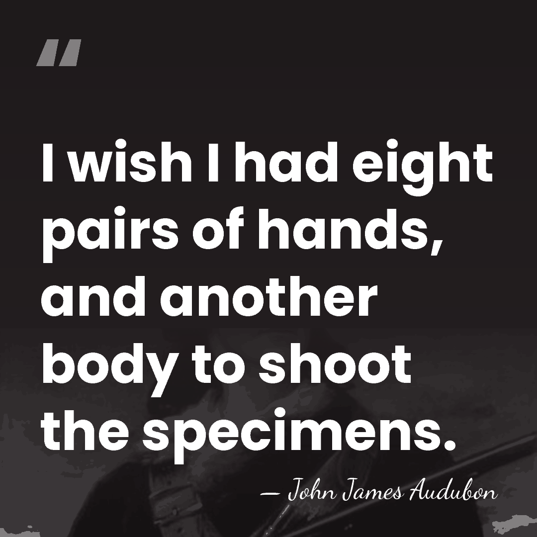 I wish I had eight pairs of hands, and another body to&hellip; - John James Audubon