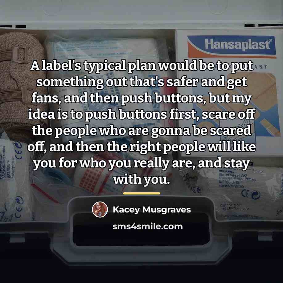 “A label's typical plan would be to put something out…” quote by Kacey Musgraves