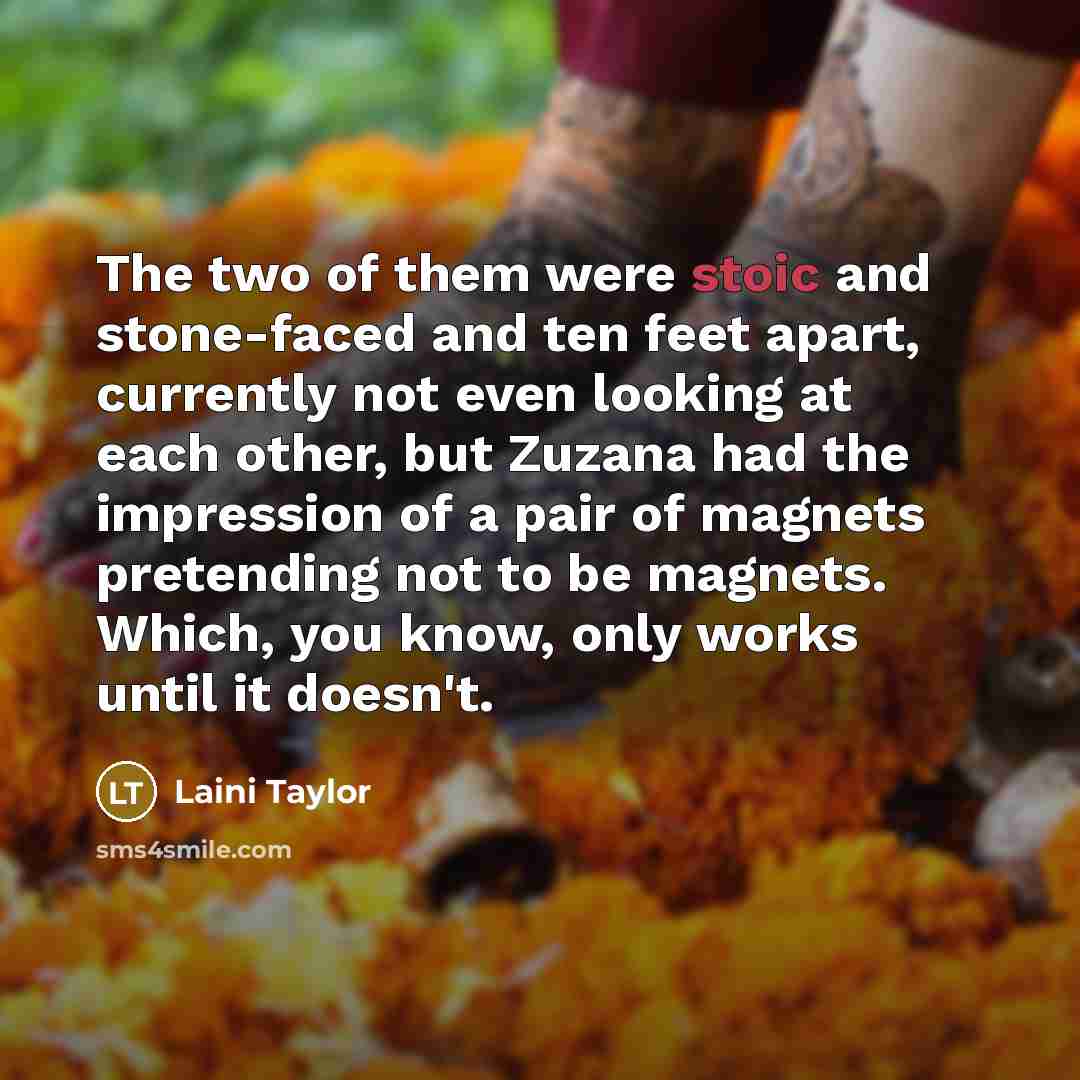 “The two of them were stoic and stone-faced and ten…” quote by Laini Taylor