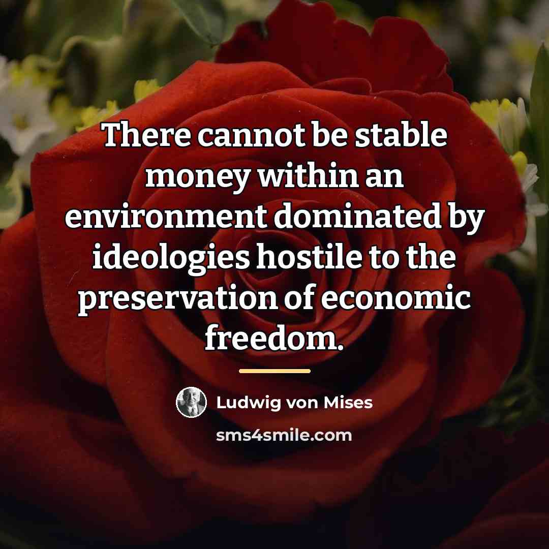 “There cannot be stable money within an environment dominated by…” quote by Ludwig von Mises