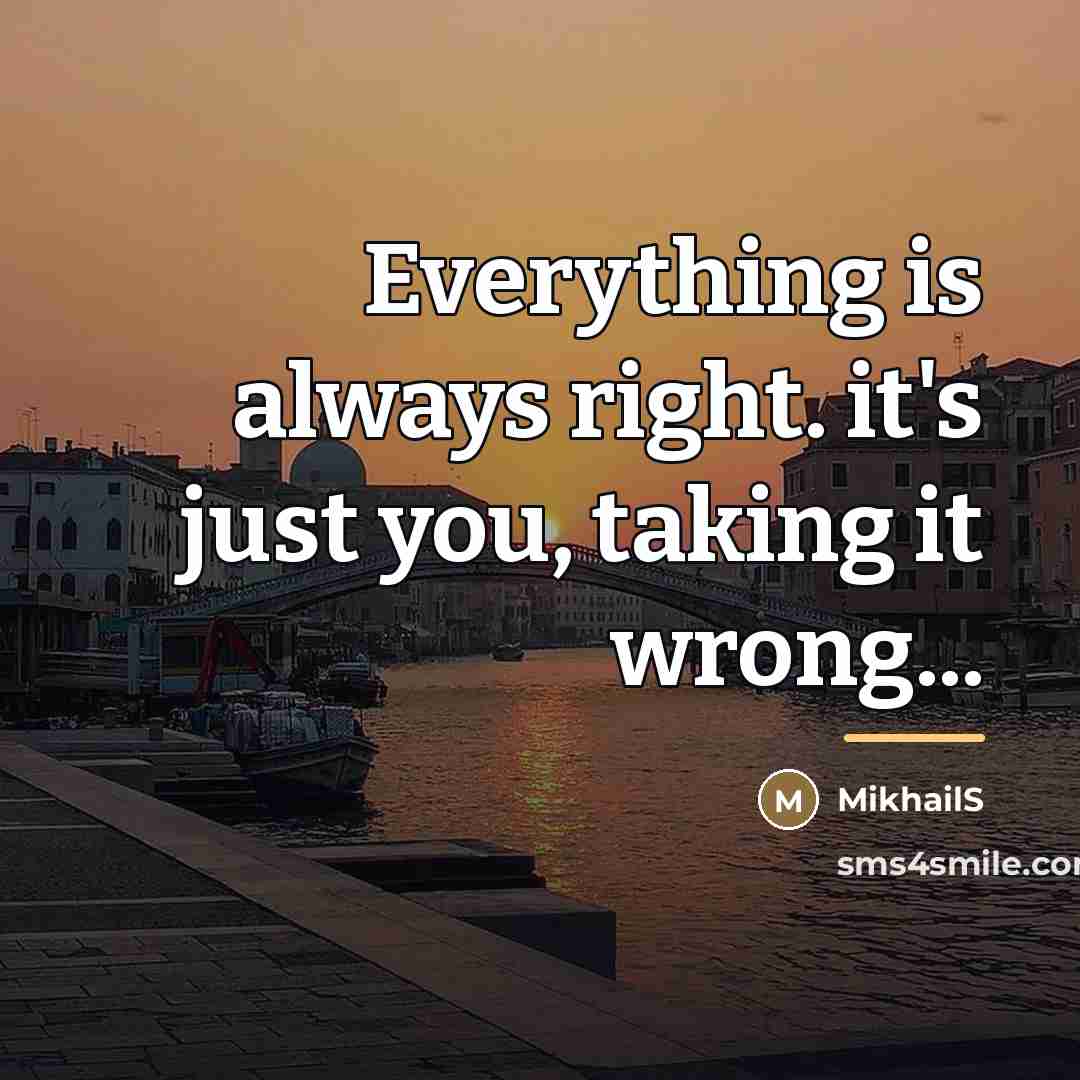 “Everything is always right. it's just you, taking it wrong...…” quote by MikhailS