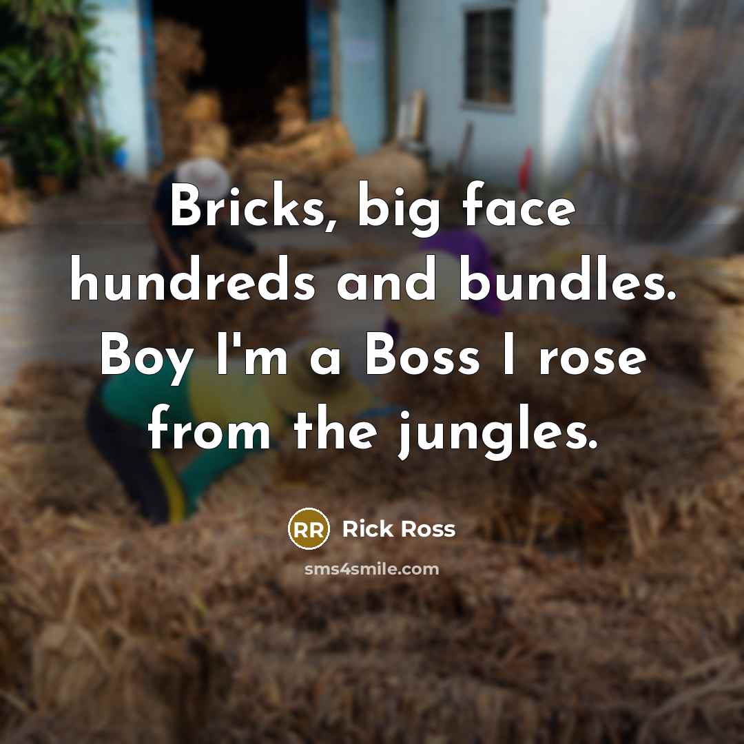 “Bricks, big face hundreds and bundles. Boy I'm a Boss…” quote by Rick Ross