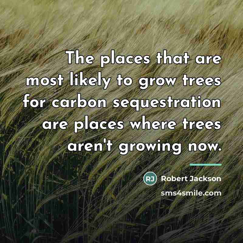 “The places that are most likely to grow trees for…” quote by Robert Jackson